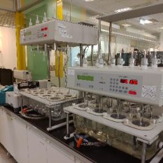 Dissolution tester