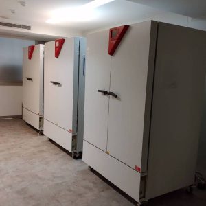 Stability chambers (BINDER, Model KBF 720, 700L)